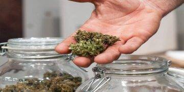 Is it possible to get high on cannabis?