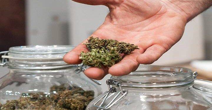 Is it possible to get high on cannabis?