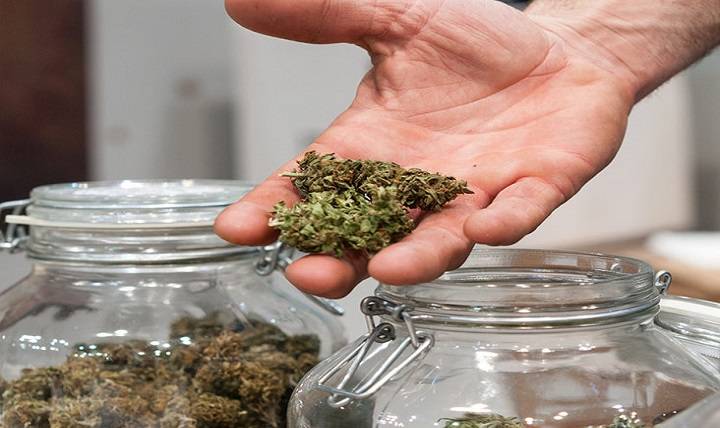 Is it possible to get high on cannabis?