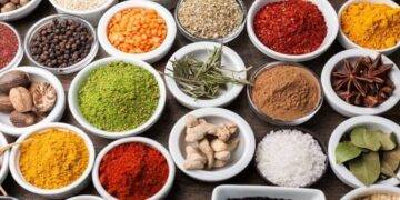 What are the spices which Pakistanis Love in their dishes?
