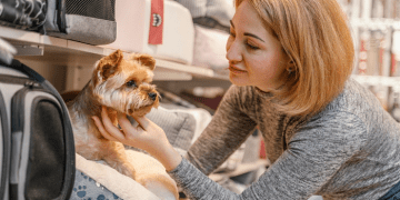 The Essential Guide to Pet Shipping in the UK: A Step-by-Step Process for Stress-free Transportation