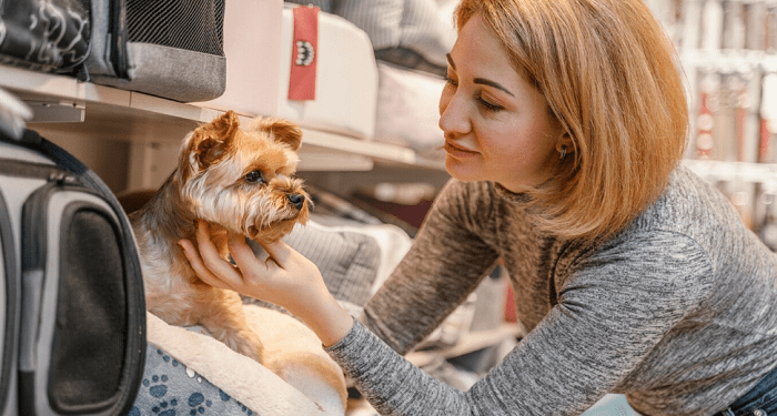 The Essential Guide to Pet Shipping in the UK: A Step-by-Step Process for Stress-free Transportation