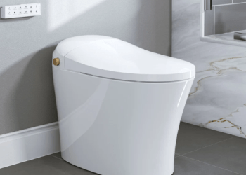 Upgrade Your Bathroom with the Horow T20: The Ultimate Toilet with Built-In Bidet