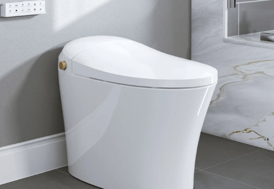 Upgrade Your Bathroom with the Horow T20: The Ultimate Toilet with Built-In Bidet